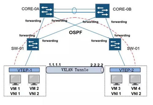 云計算底層技術在企業營銷策劃中的創新應用 虛擬網絡設備bridge、vlan與vxlan的實踐解析