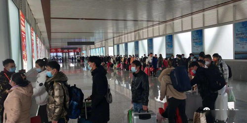 專列載夢啟程，畢節609名務工人員赴廣州開啟新篇章